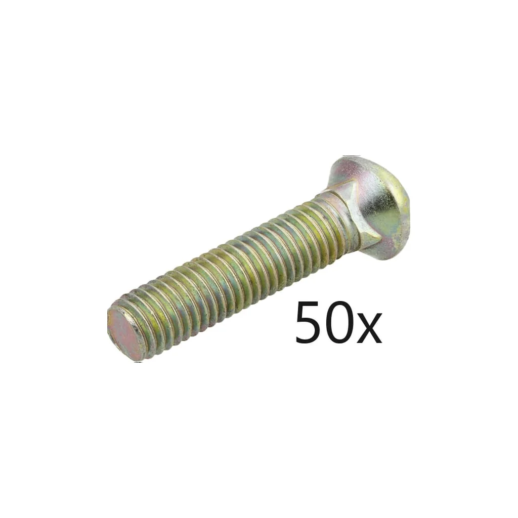 Pachet cu șuruburi 50 buc M10x45 1731001030BAC