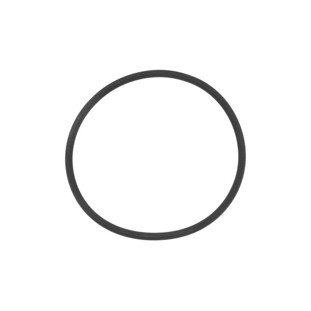 O-ring 73,03x3,53mm 215311720