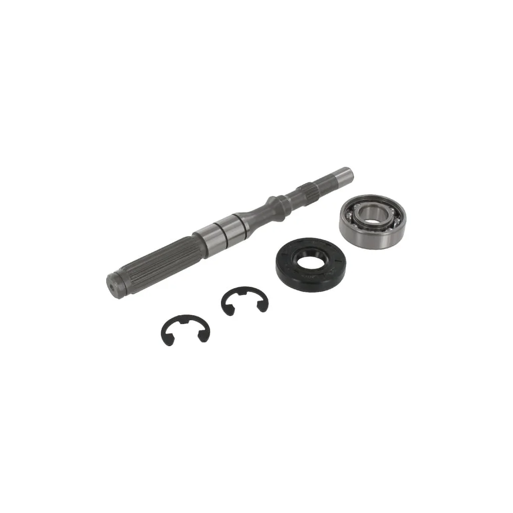 Arbore de pompă/rulment, set 1A646099950