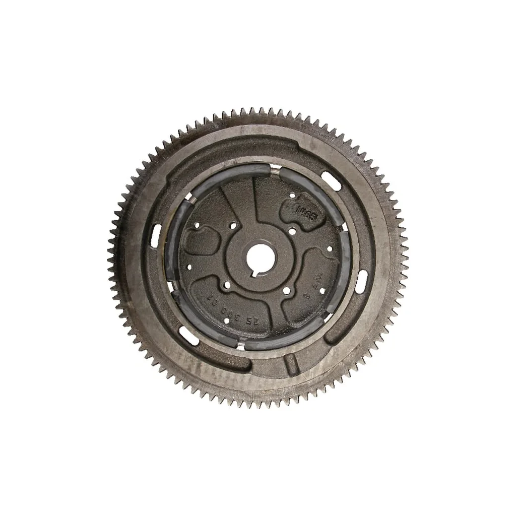 Ansamblu volant (LW, 22) 24025121S