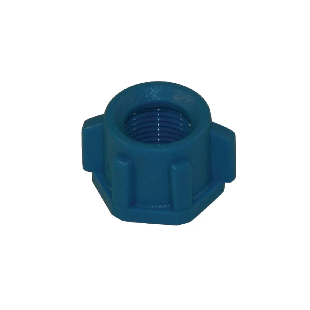 Capac duză filetat SW13 albastru Arag 20001004