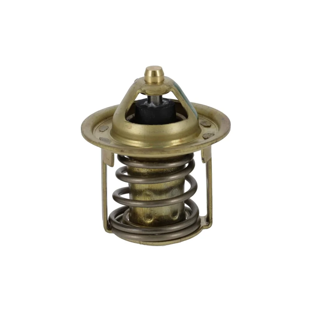 Termostat 1E39973012