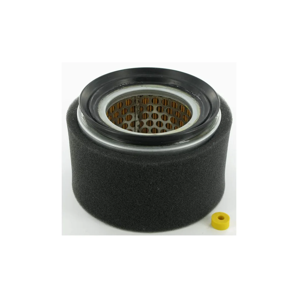 Filtru de aer 2175254
