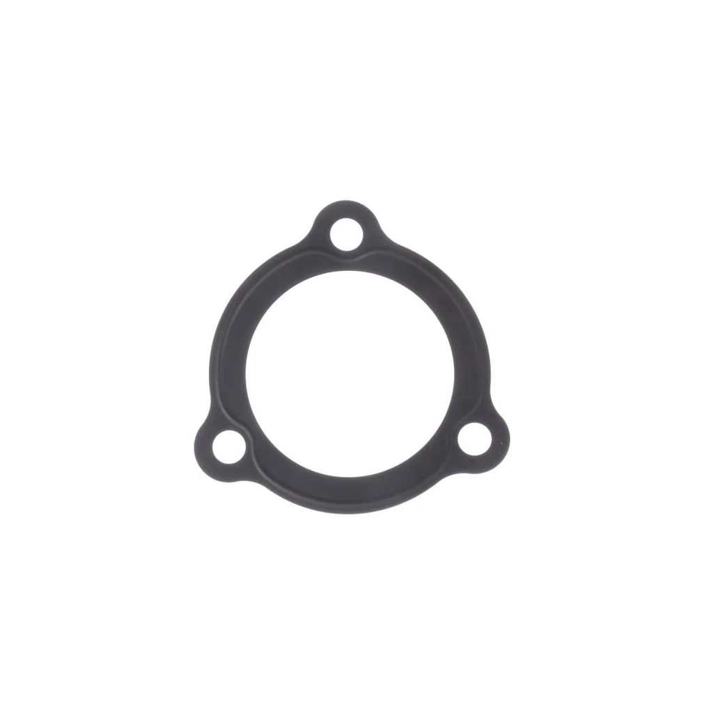 Garnitură termostat, V3300 1C01073270