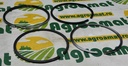 Segmenti R1 Ø: 98.00 + 0.50 mm