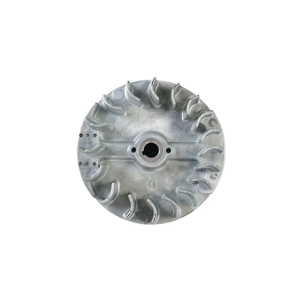 Ansamblu volant 24025115S
