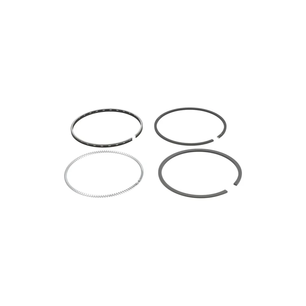 Set segmenti piston 1G79021053