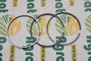 Set Segmenti 1930841 104-mm
