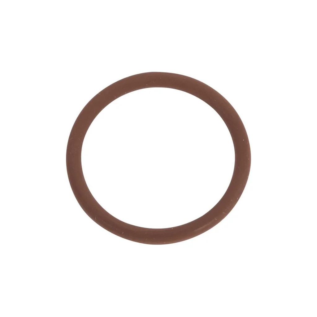 O-ring 17282381