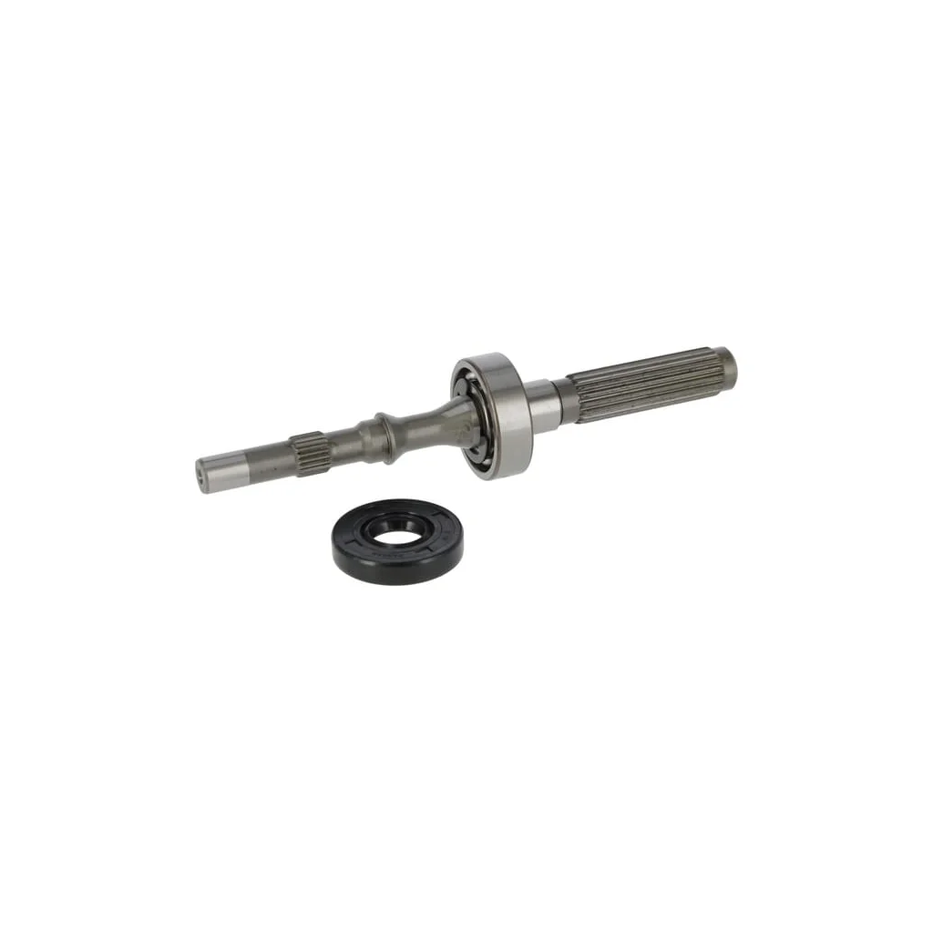 Ax pompă/Set rulment 1A646099970