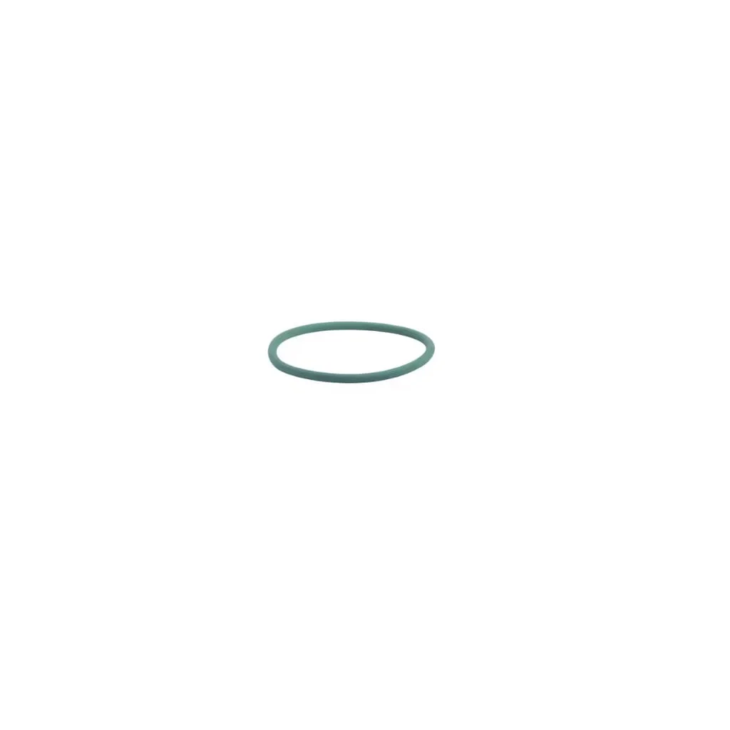 O-ring pentru pompa de apă 17290081FPT
