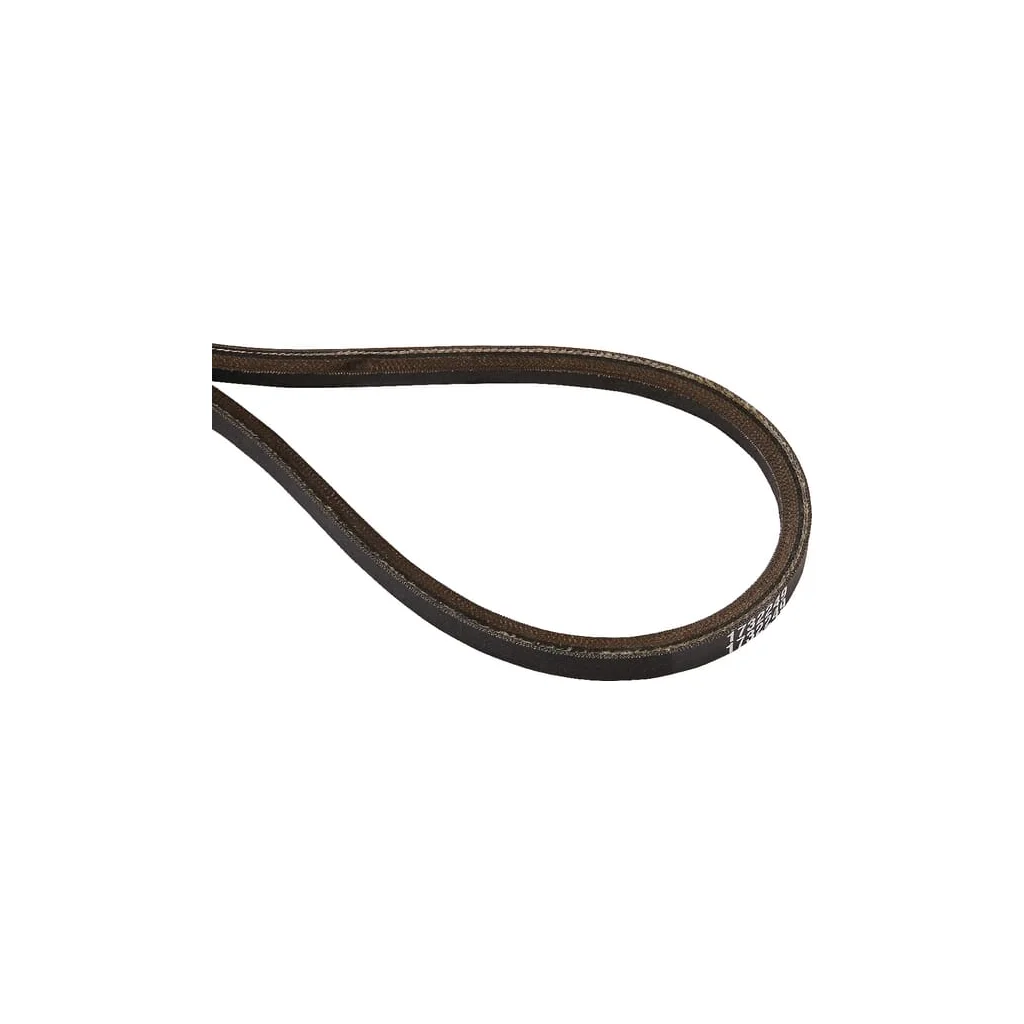 Curea 1732249SM