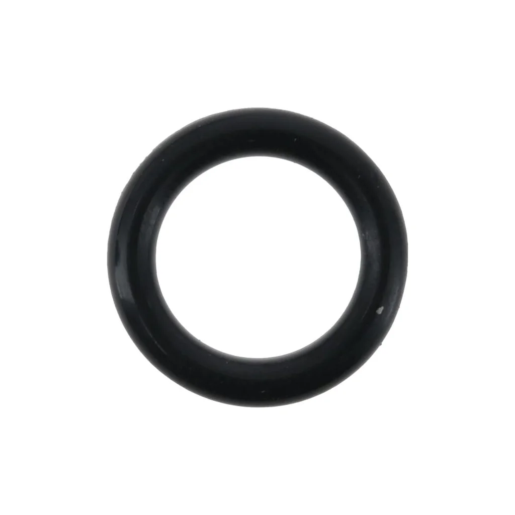 O-ring 21D0969960