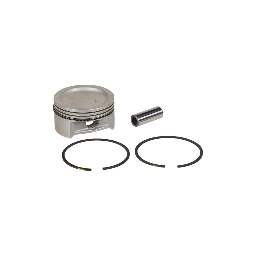 Kit piston (std) stil B 2487454SWX