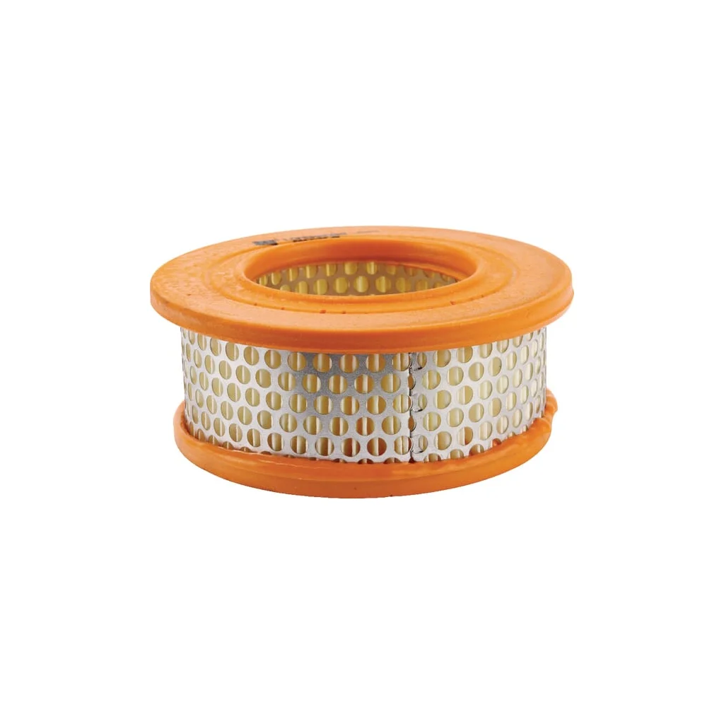 Filtru de aer Lombardini 2175048