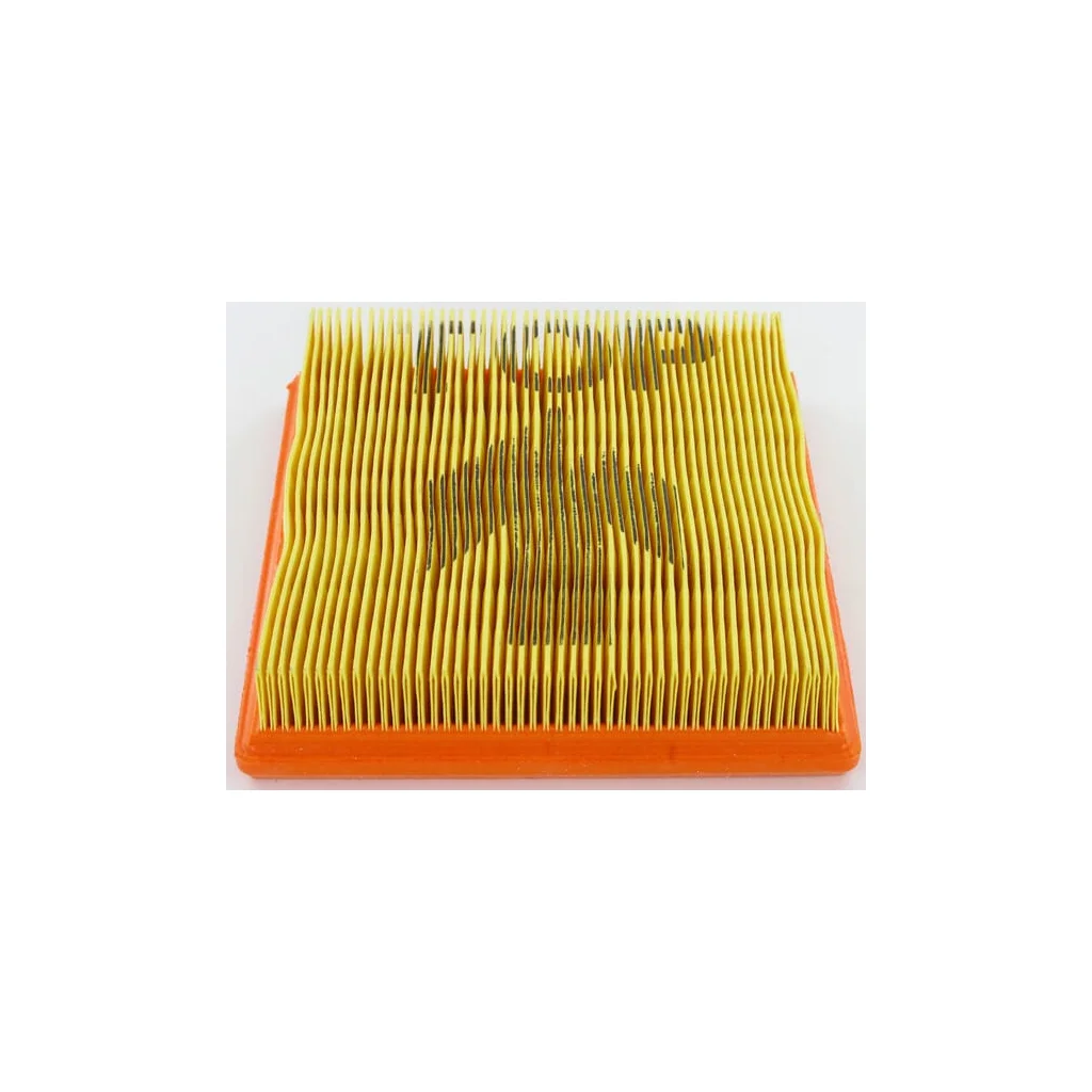 Filtru de aer Lombardini 2175134