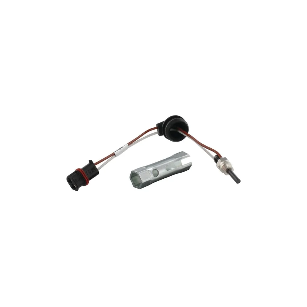 Bujie incandescentă 12 V 252069011300
