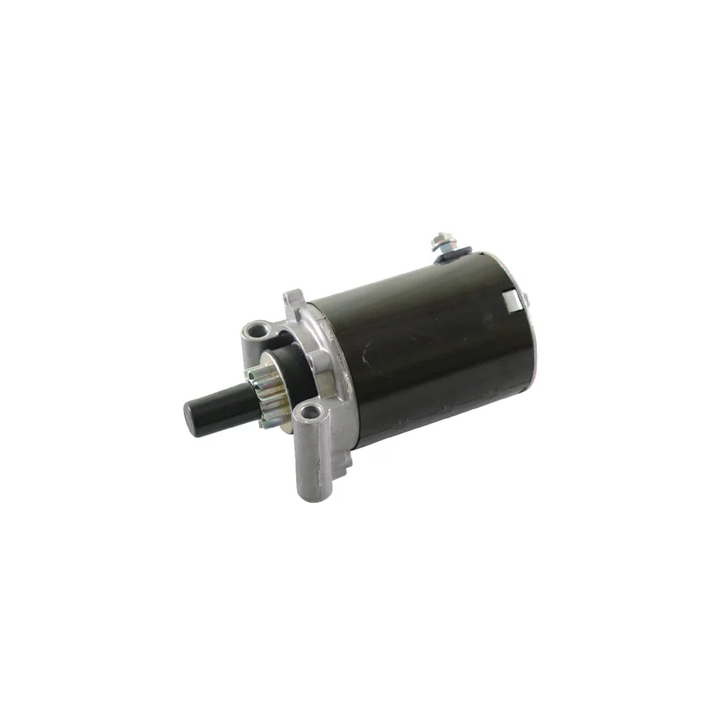 Motor electric 2509807S