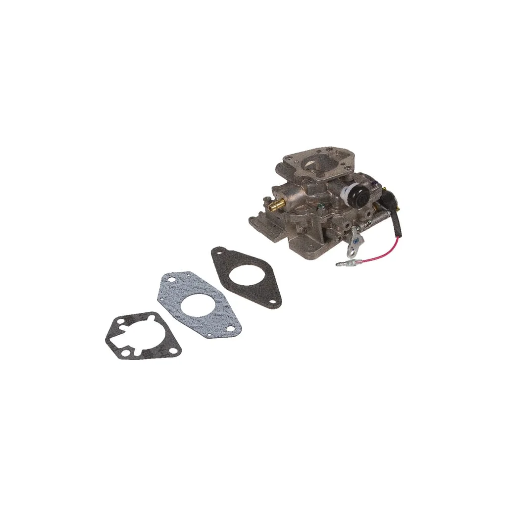 Carburator 24853304S
