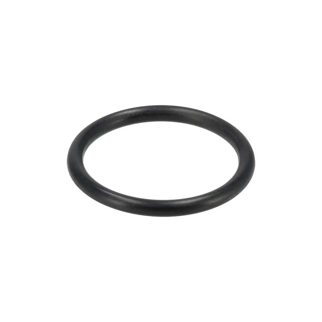 O-ring joja ulei 2515302S