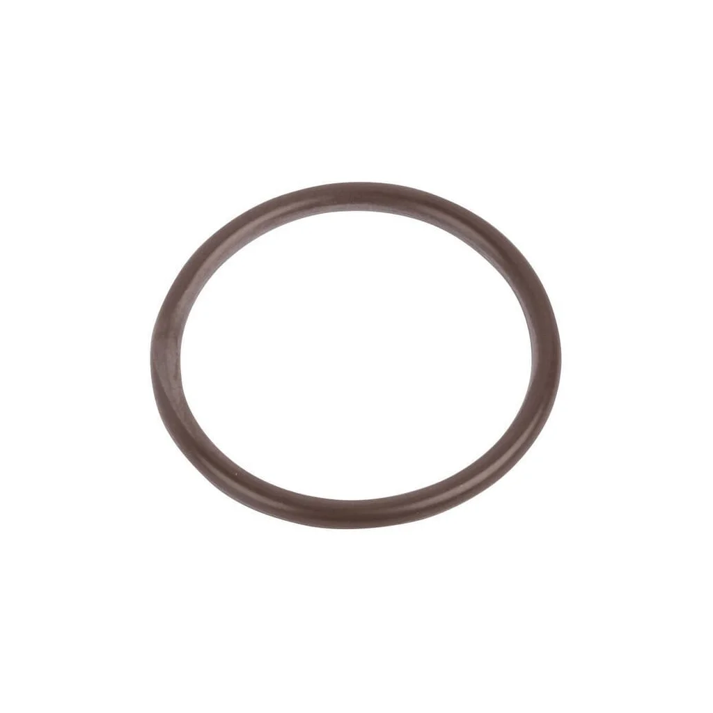O-ring 215390480N