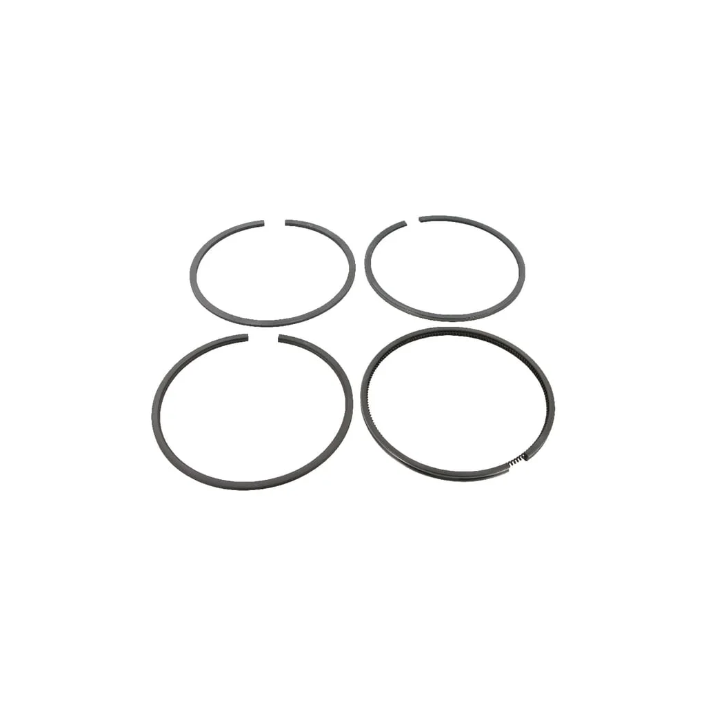 Set segmenți piston 2235561