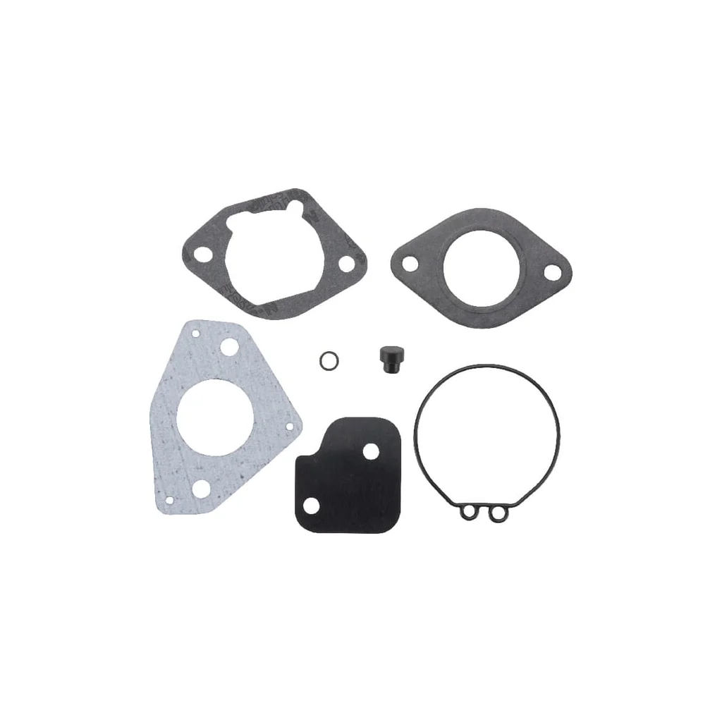 Carburator gaskets 2475738S