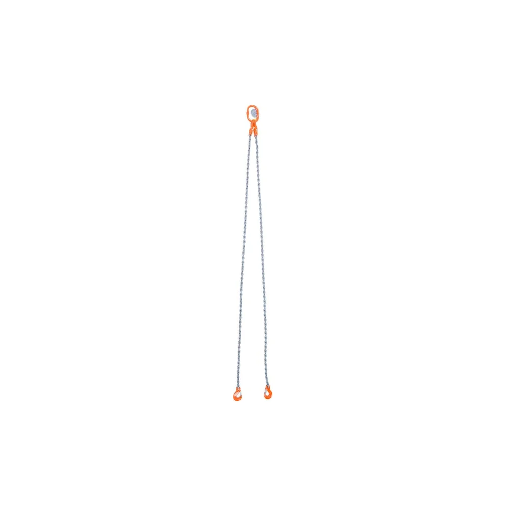 Lanț ridicare 2 legături 2m 6mm 26923062