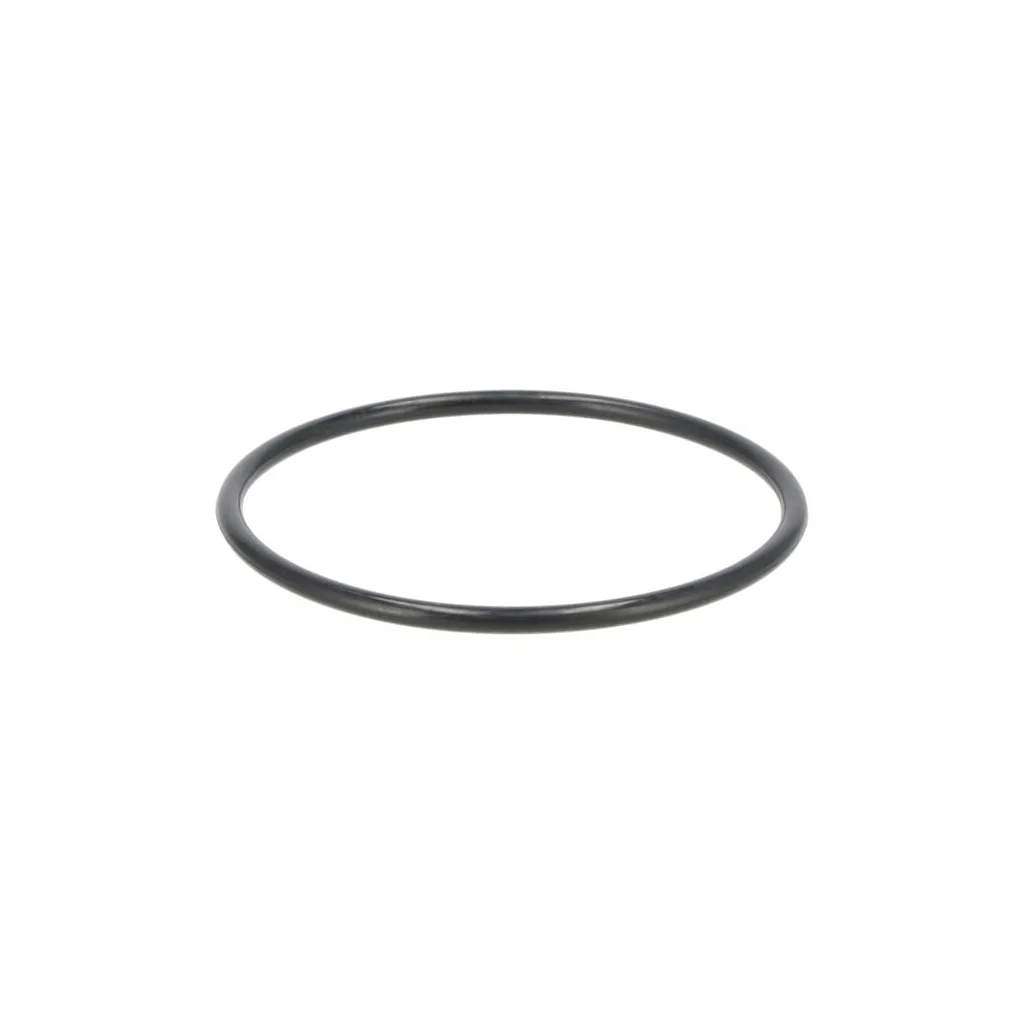 O-ring G65.0 24321000650
