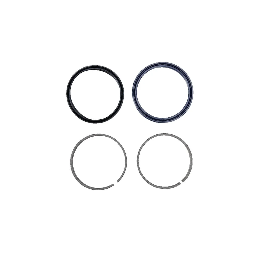 Set garnituri pentru HYDRONIKA 2466110