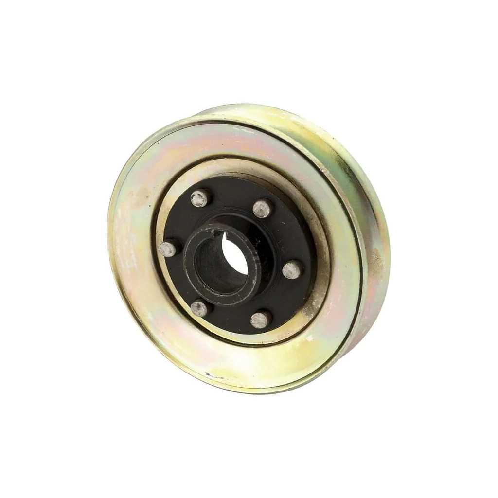 Roată de curea pentru generator 29600050003831