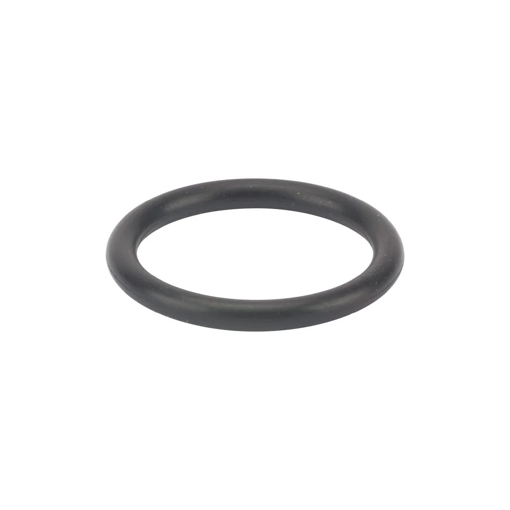 O-ring p18 24311000180