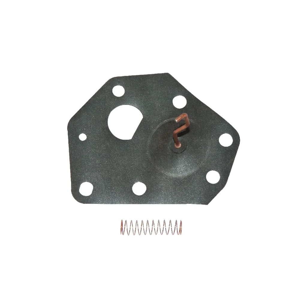 Membrane 299637