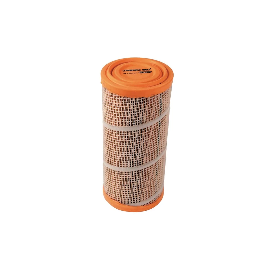 Filtru de aer exterior 299643A1