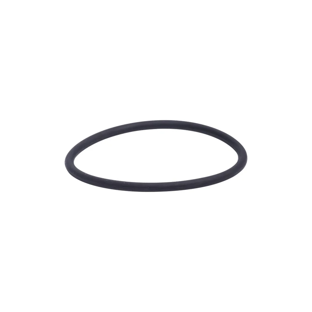 O-ring 3019927X1N