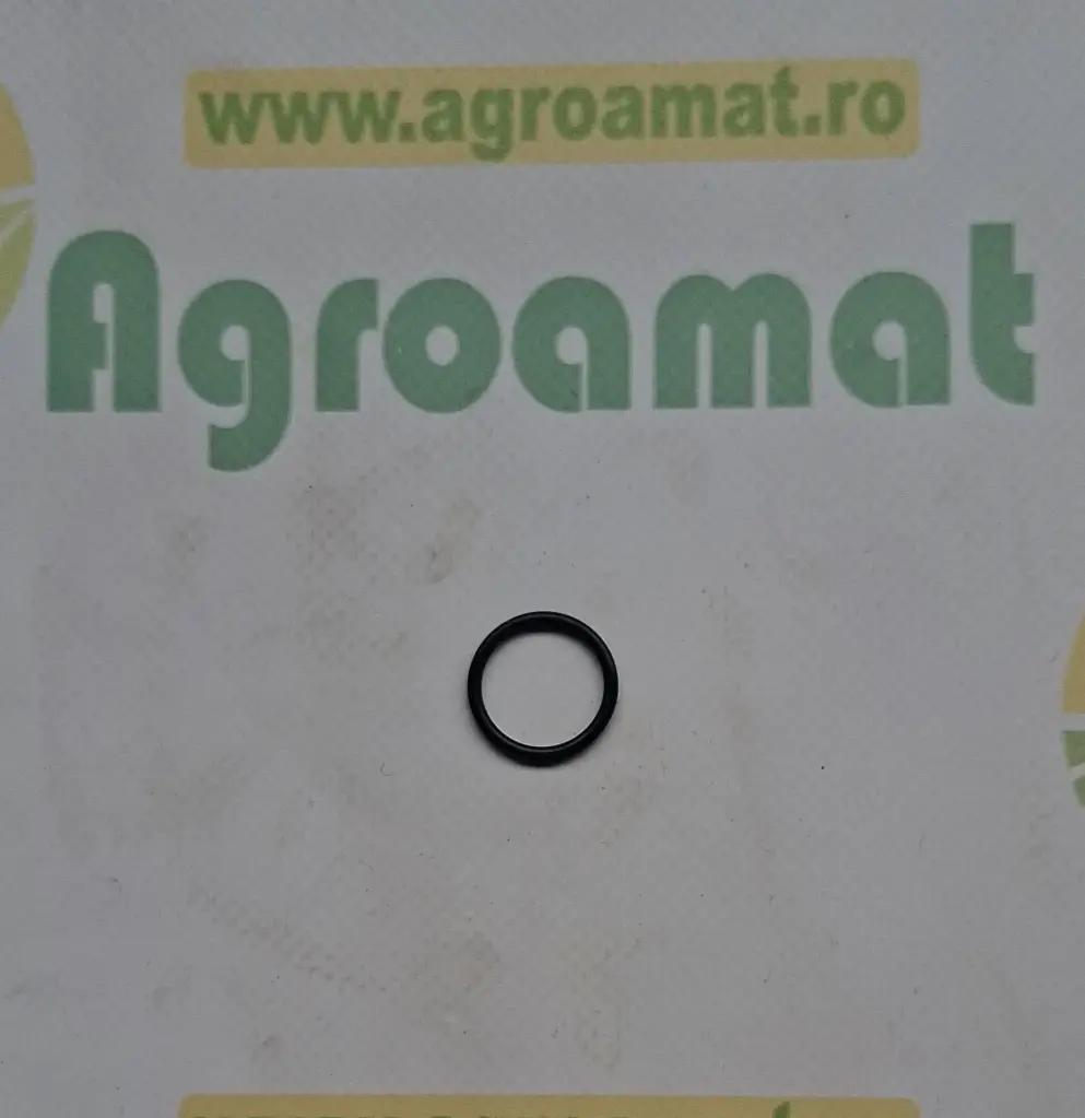 O-Ring