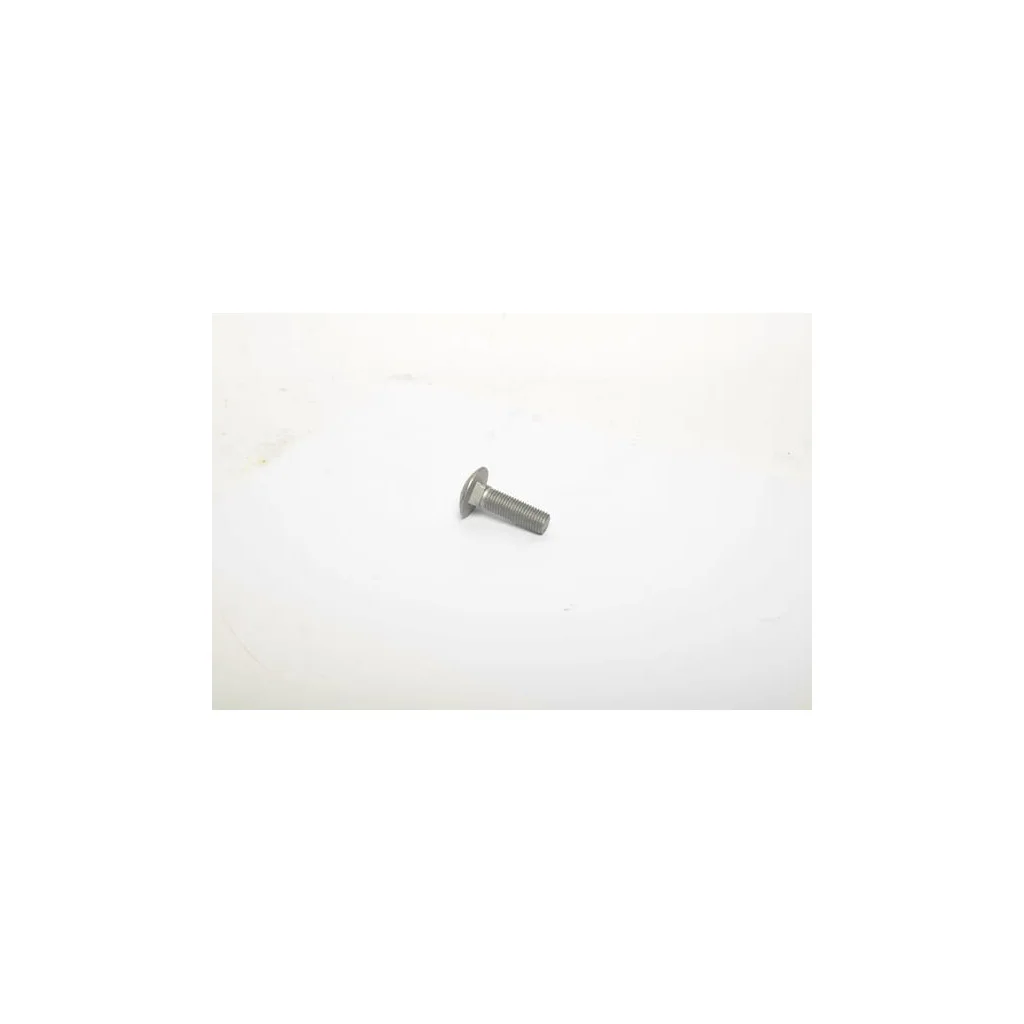 Șurub cap semirotund M16x55 grupa 10.9 Zn 3012211