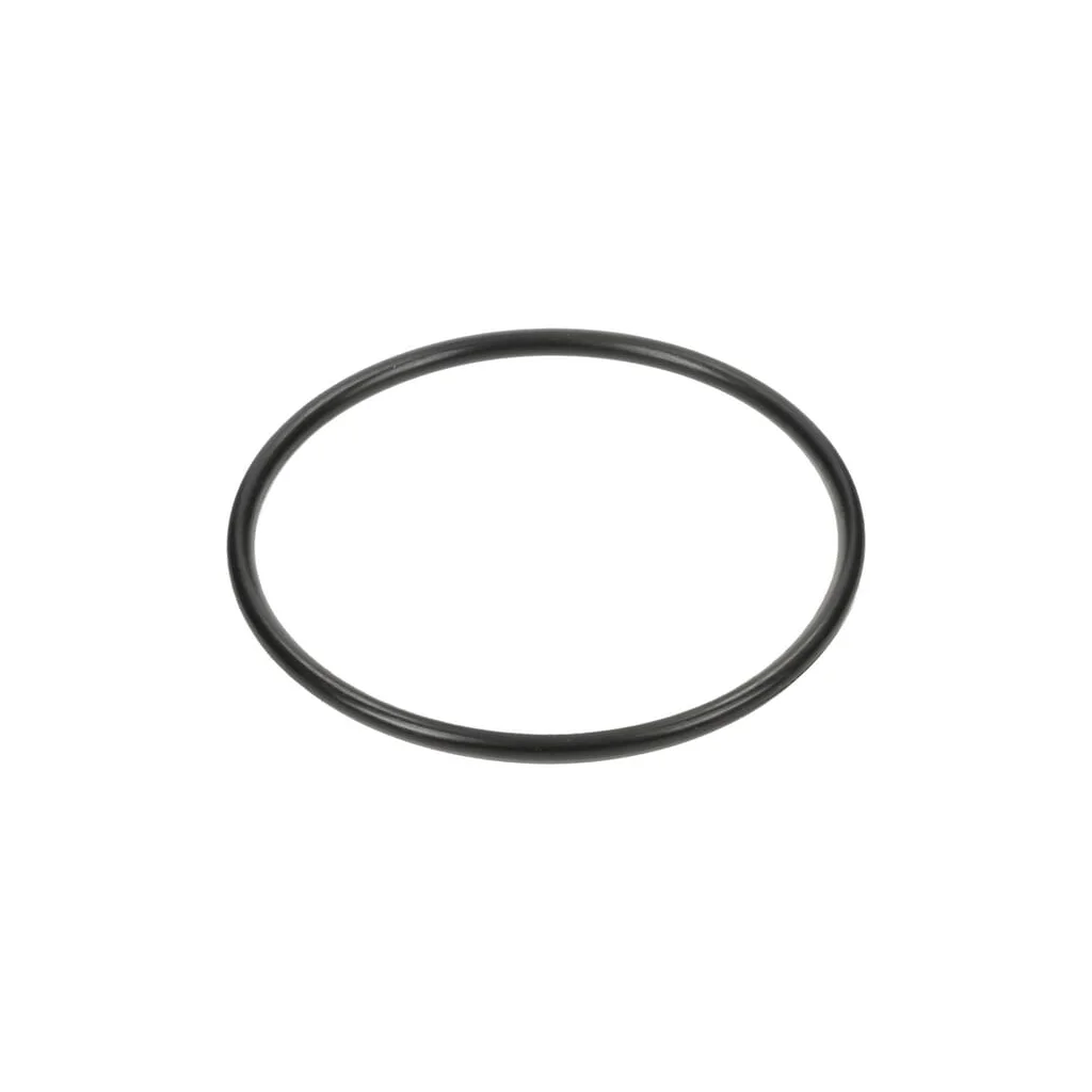 O-ring 3019943X1N