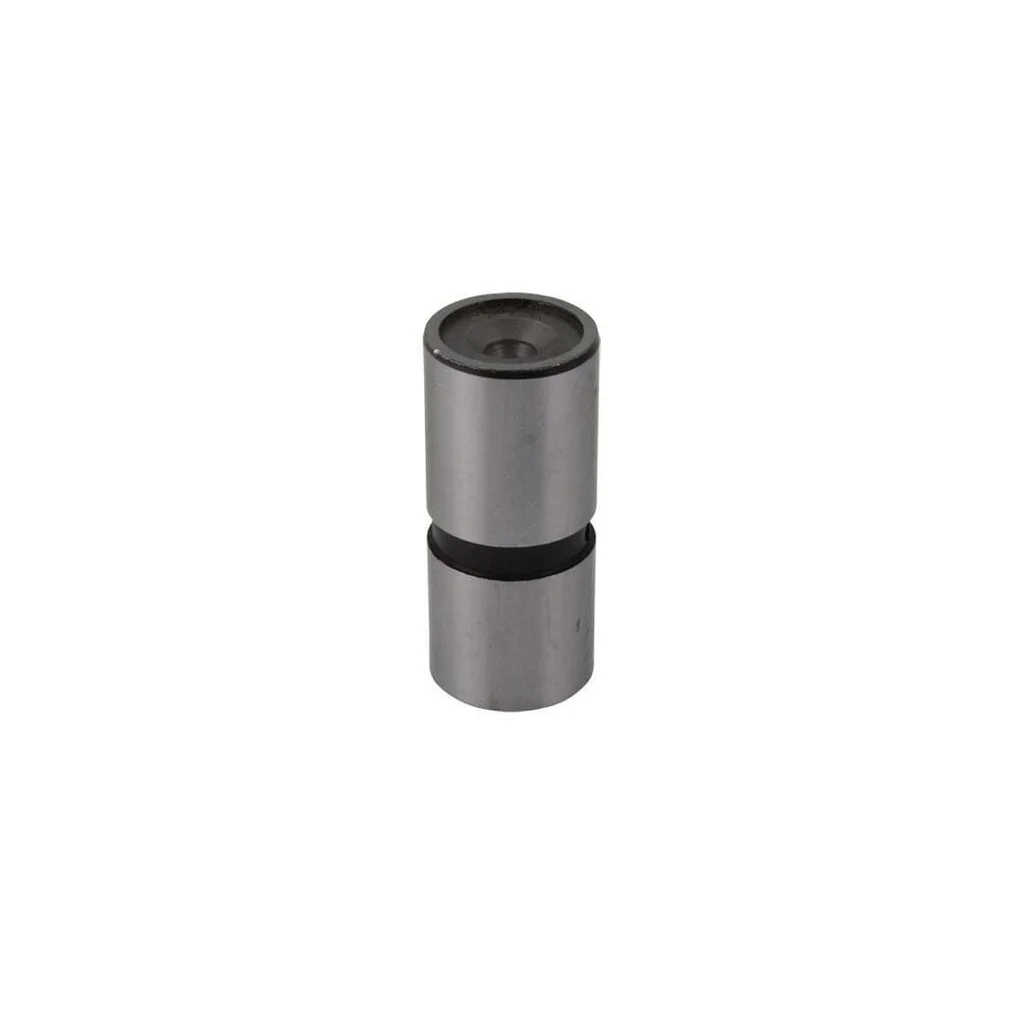 Tachet supapă motor 26900046504051