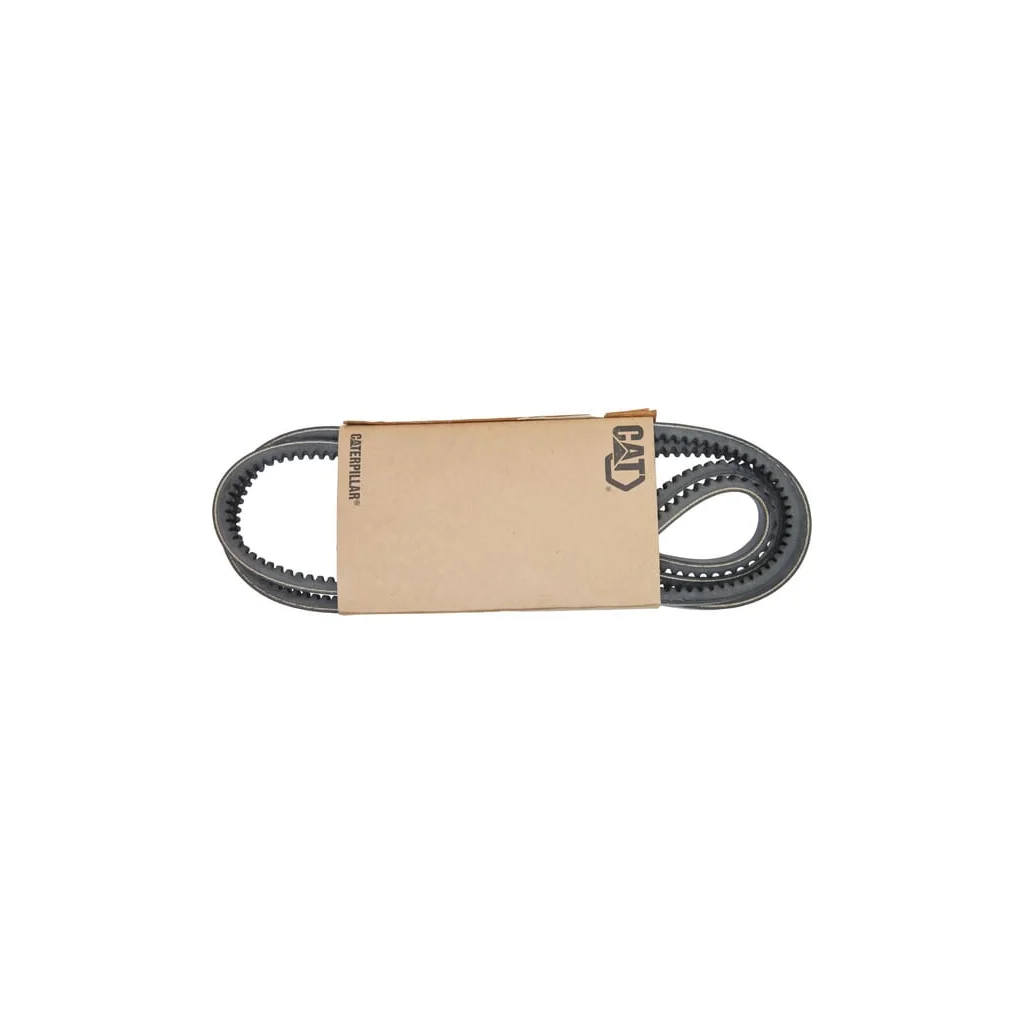Set curele trapezoidale 2773419