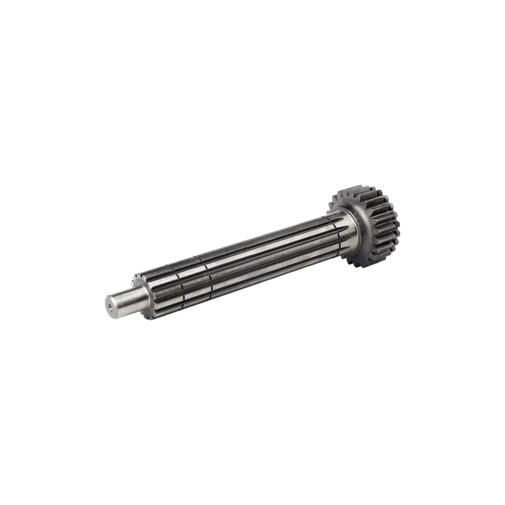 Arbore principal 26900050419060