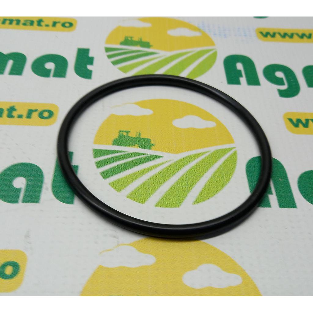 O-Ring 3531098M1
