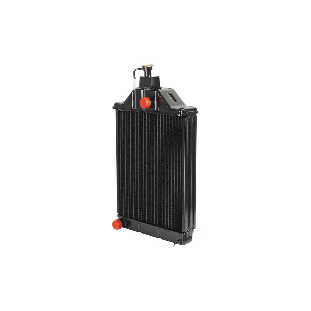Radiator motor 26903029262M1