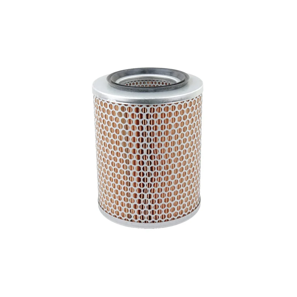 Filtru de aer exterior SDF 2934587