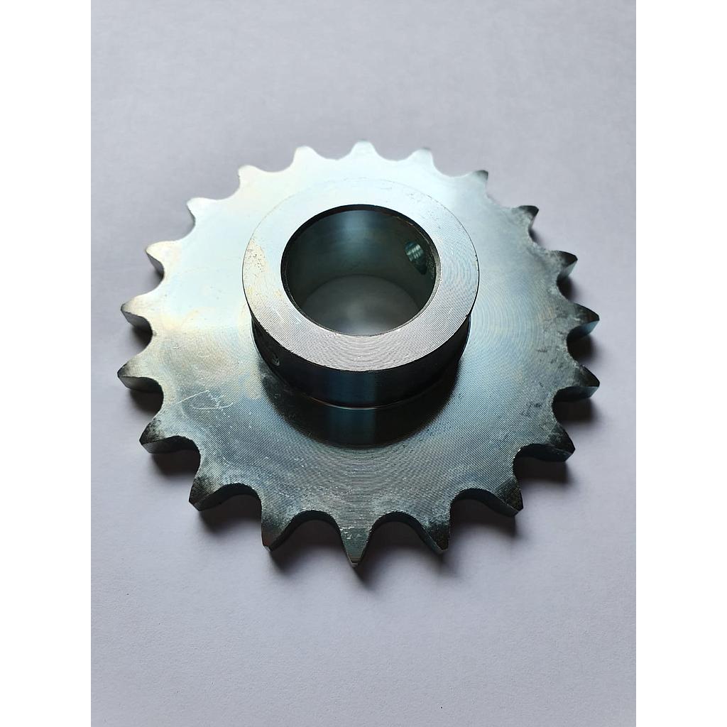 Pinion Z-20 Org