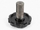 Pinion 