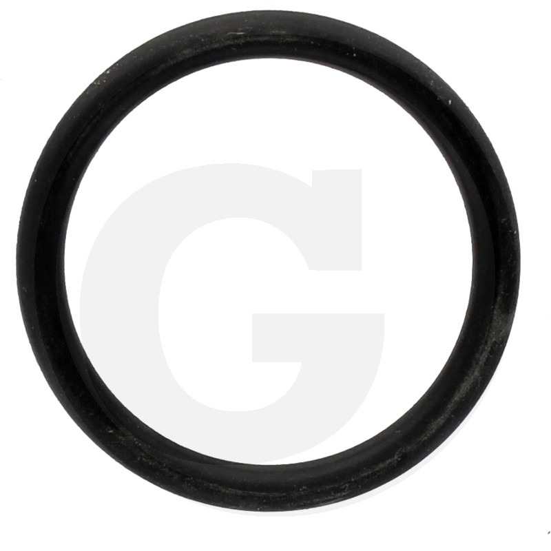 O-Ring
