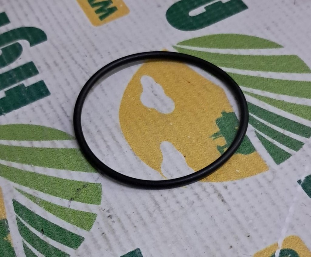 O-Ring 4222848M1