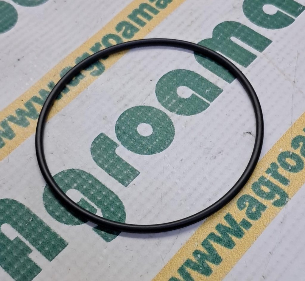 O-Ring 4223842M1