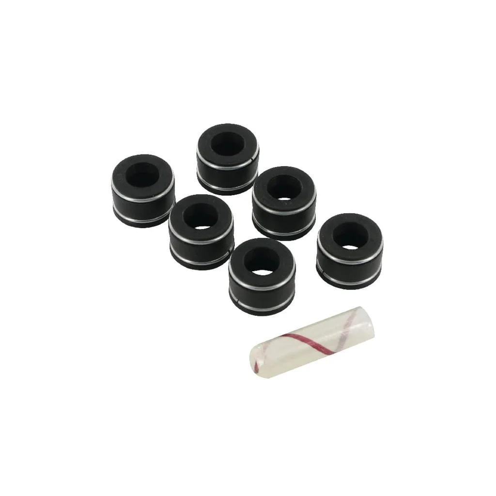 Set de garnituri tijă supapă 3218399R91
